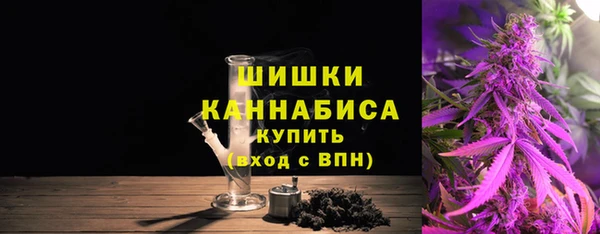 крисы Баксан