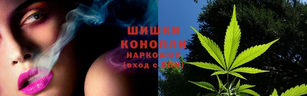 кокаин Белокуриха